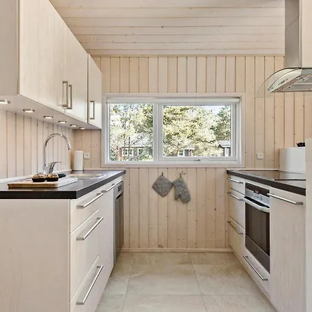 Beautiful In With Kitchen Holiday home Aalbaek